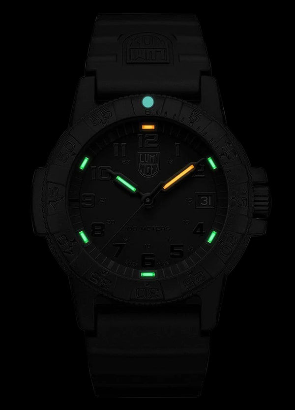 Luminox Leatherback Sea Turtle Blackout